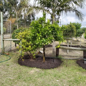 20191116_141504-300x300 (1)