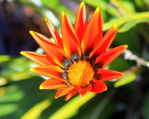 3770682_orig-300x240