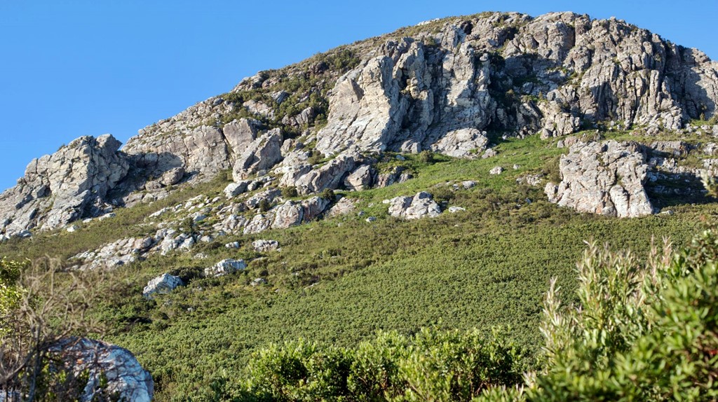 slipperface_1024x574